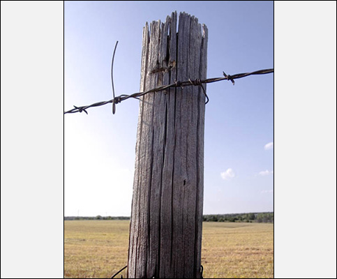 Fence Post